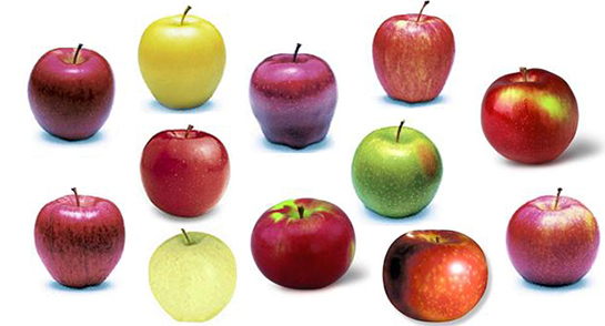 Elma Çeşitleri Nelerdir?